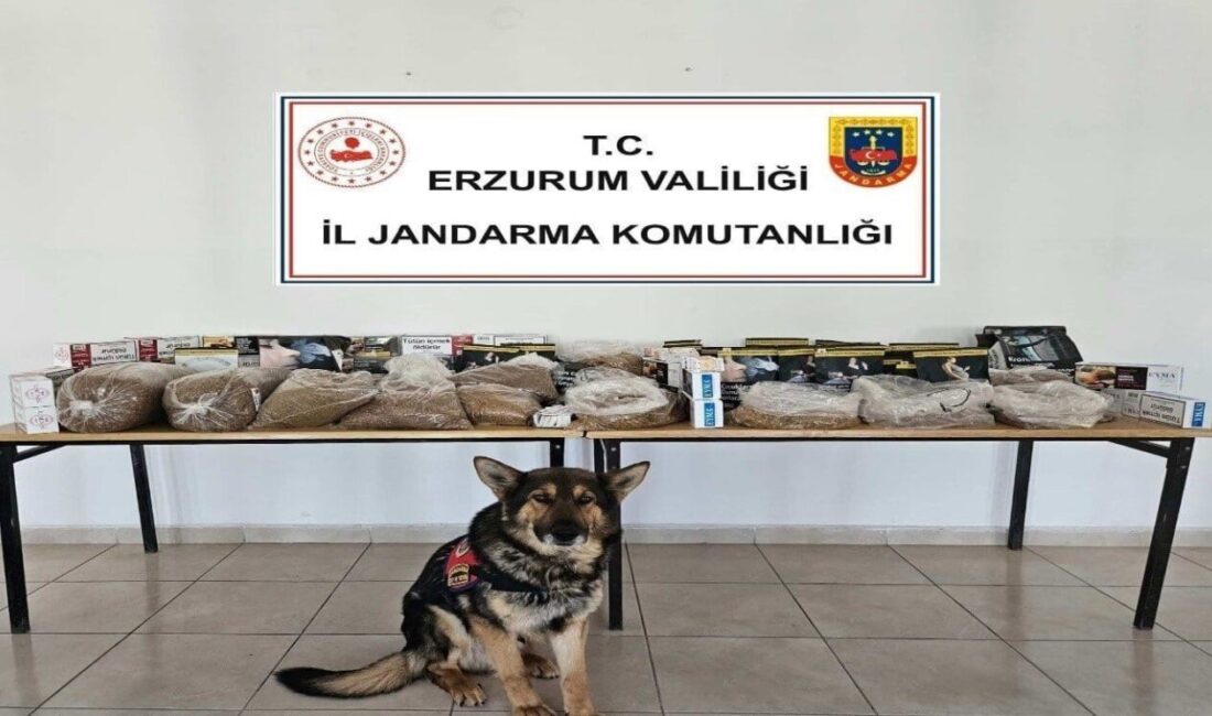Erzurum’da jandarma ekipleri kaçakçılara yönelik operasyon yaptı, 12 şüpheli hakkında