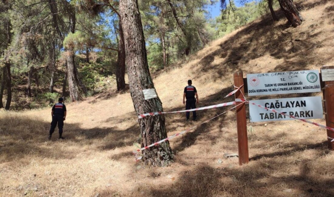 Orman yangını riski en yüksek illerden olan Aydın’da, jandarma ekiplerince