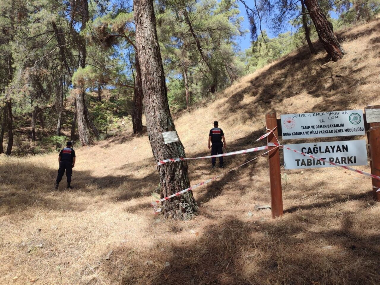 Orman yangını riski en yüksek illerden olan Aydın’da, jandarma ekiplerince