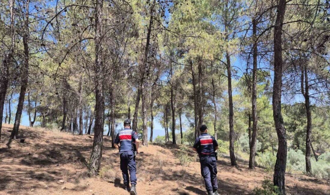 Yaz aylarıyla birlikte yangın riski artarken Aydın İl Jandarma Komutanlığı