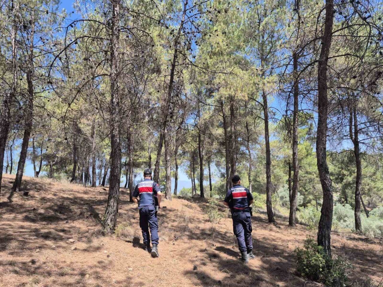 Yaz aylarıyla birlikte yangın riski artarken Aydın İl Jandarma Komutanlığı