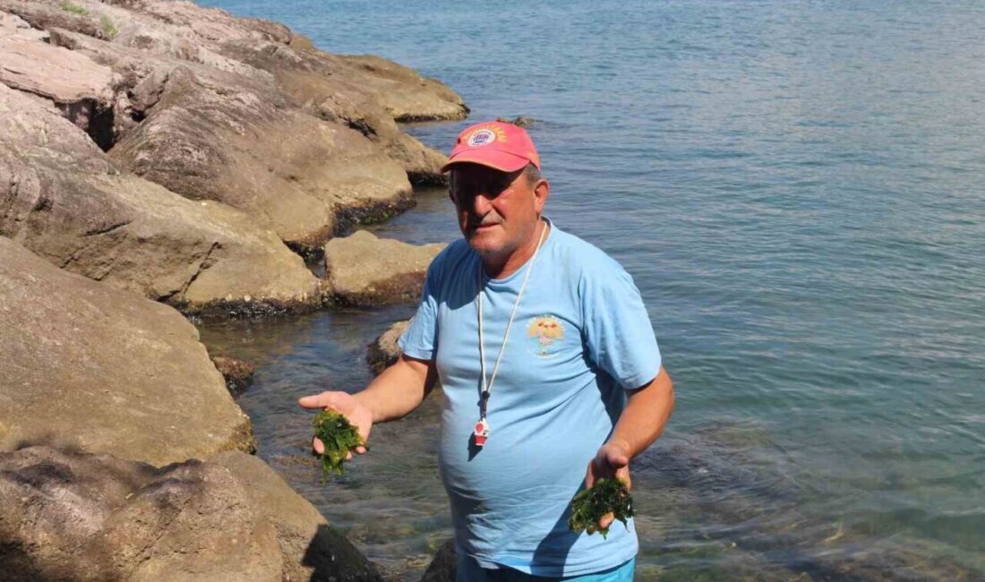 Giresun’un Piraziz ilçesinde bulunan tarihi Eğrice Plajı, yalnızca doğal güzelliği