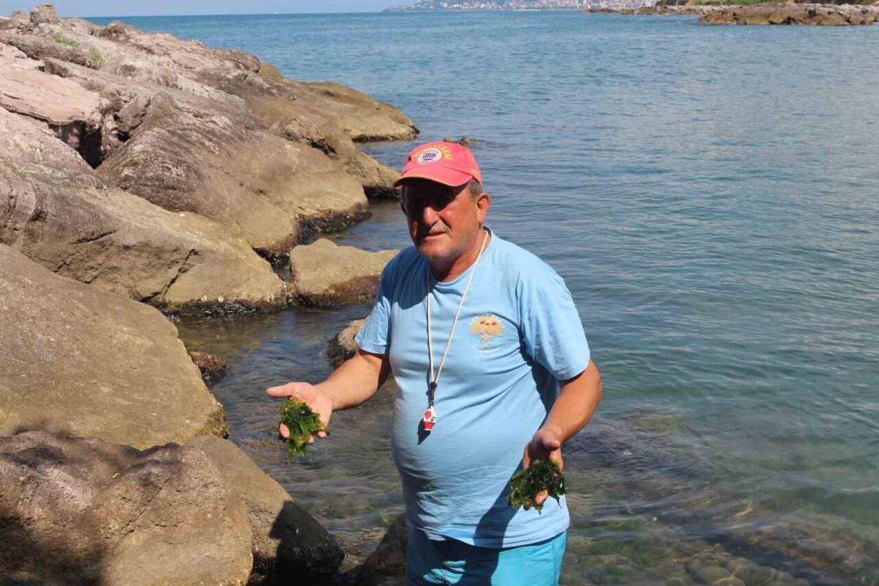 Giresun’un Piraziz ilçesinde bulunan tarihi Eğrice Plajı, yalnızca doğal güzelliği