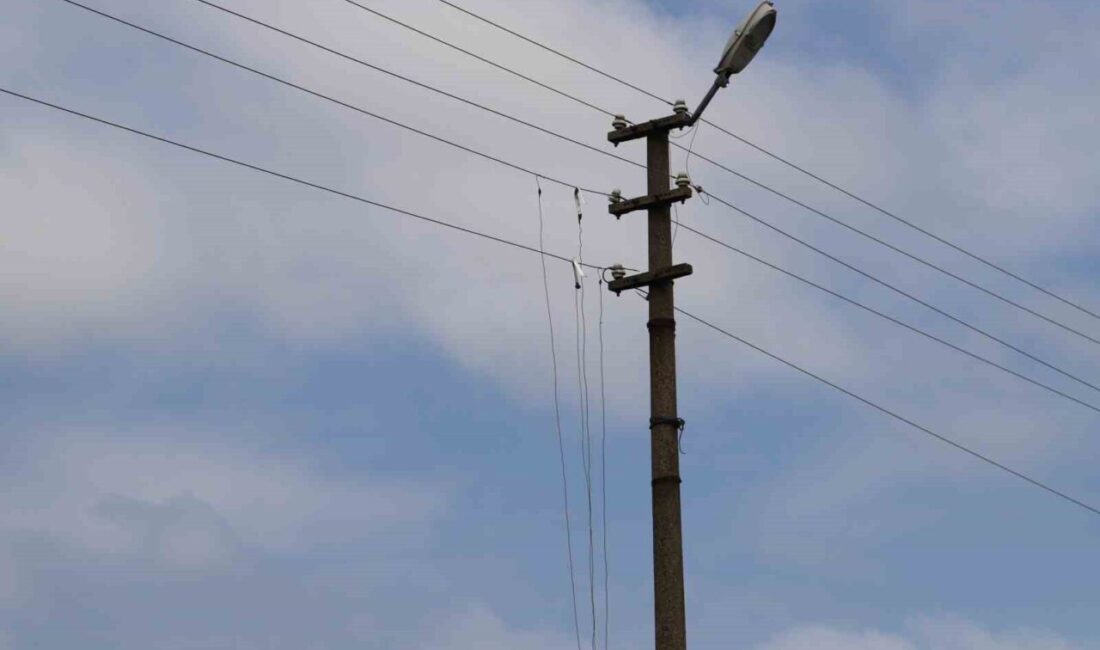 SEDAŞ’ın, enerji kayıplarını en aza indirmek ve şebeke güvenliğini artırmak