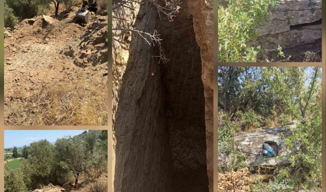 Aydın’ın Söke ilçesinde sit alanı içerisinde iş makinesi ile kaçak