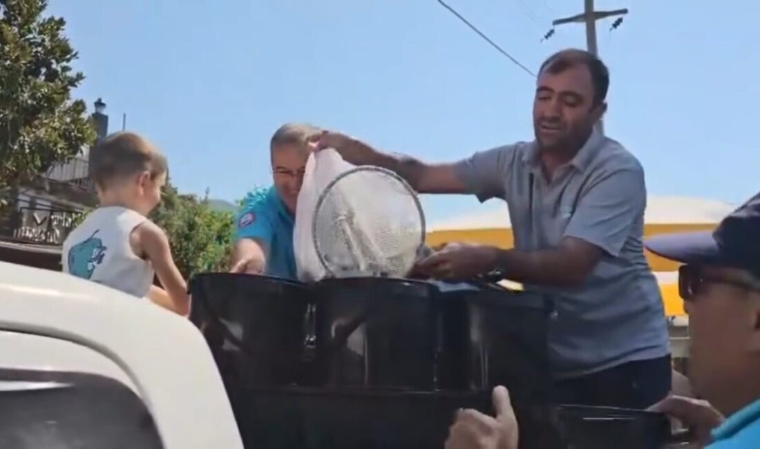 Muğla Tarım ve Orman İl Müdürlüğü ekipleri, istilacı türlerle mücadele