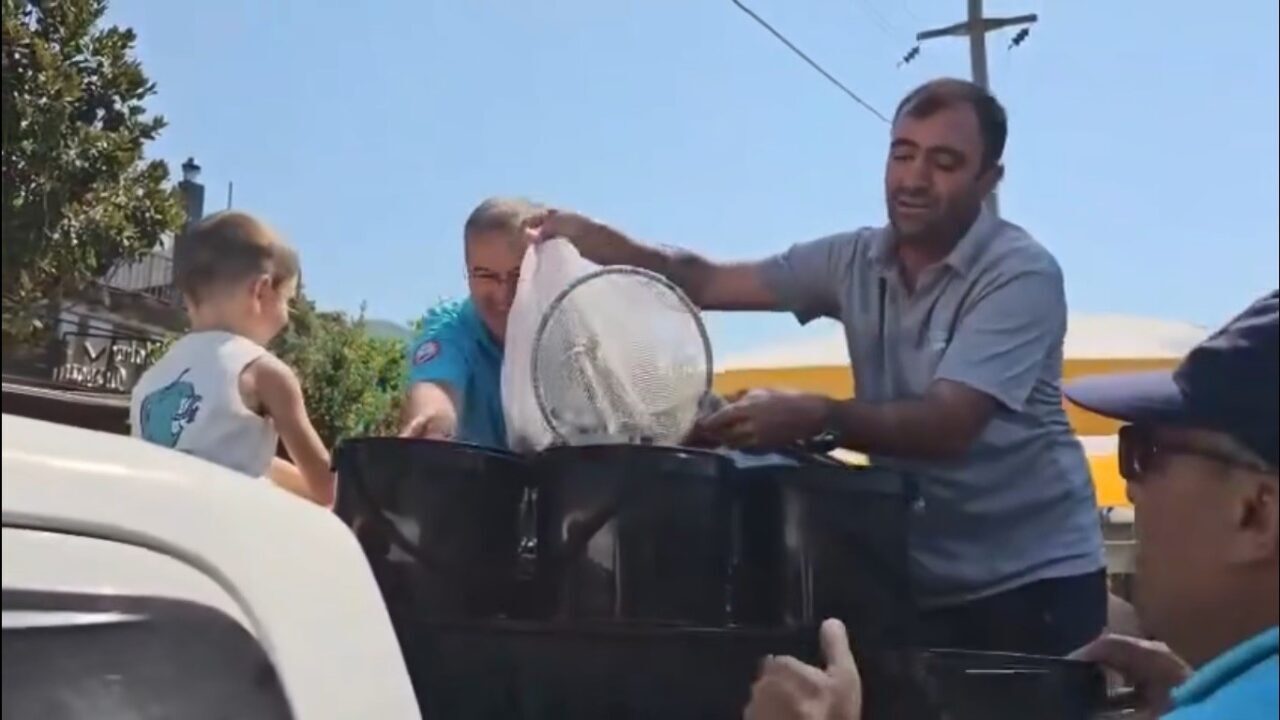 Muğla Tarım ve Orman İl Müdürlüğü ekipleri, istilacı türlerle mücadele