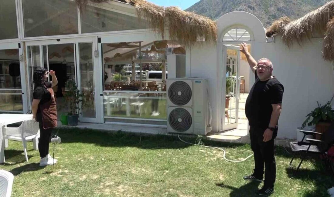 Amasya’da bir kafeteryanın çatısına çıkan tilki, işyeri sahibi tarafından cep