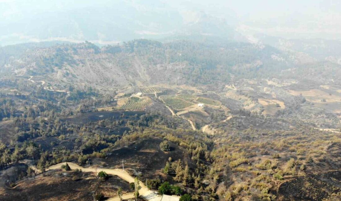 Kahramanmaraş’ın Onikişubat ilçesi Çamlıbel ve Çakırdere kırsalında çıkan orman yangınına