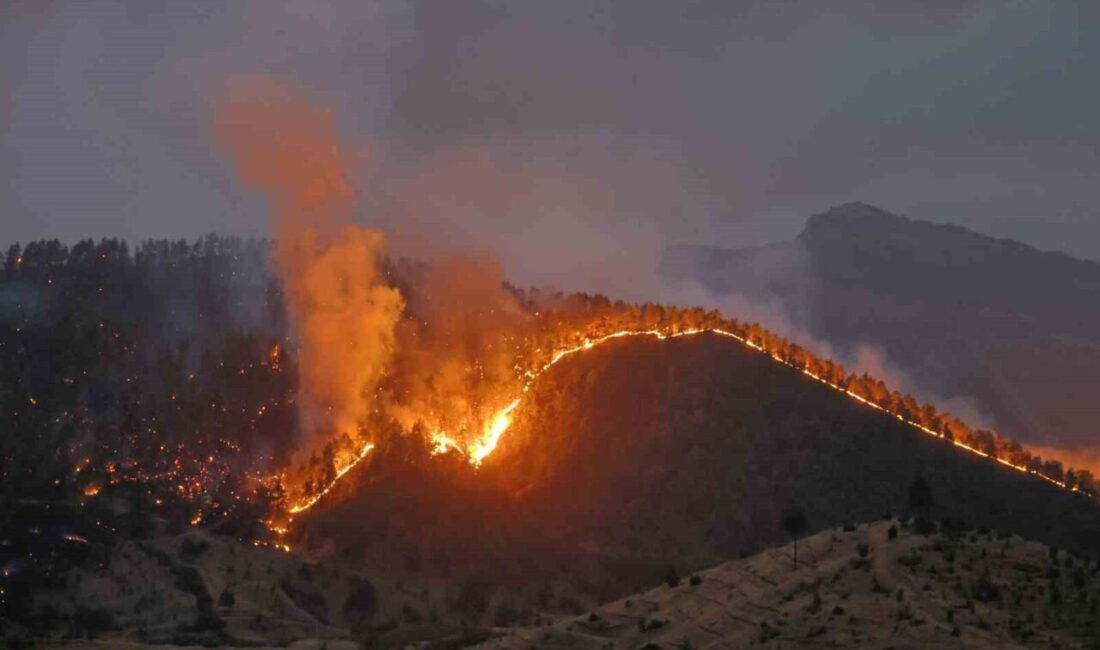 Kahramanmaraş’ta çıkan orman yangınına müdahale havanın kararmasına rağmen devam ediyor.