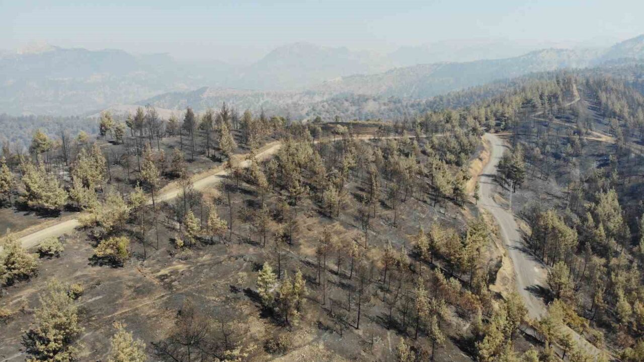 Kahramanmaraş’ta ormanlık alanda cumartesi günü çıkan 3’üncü günün sonunda kontrol