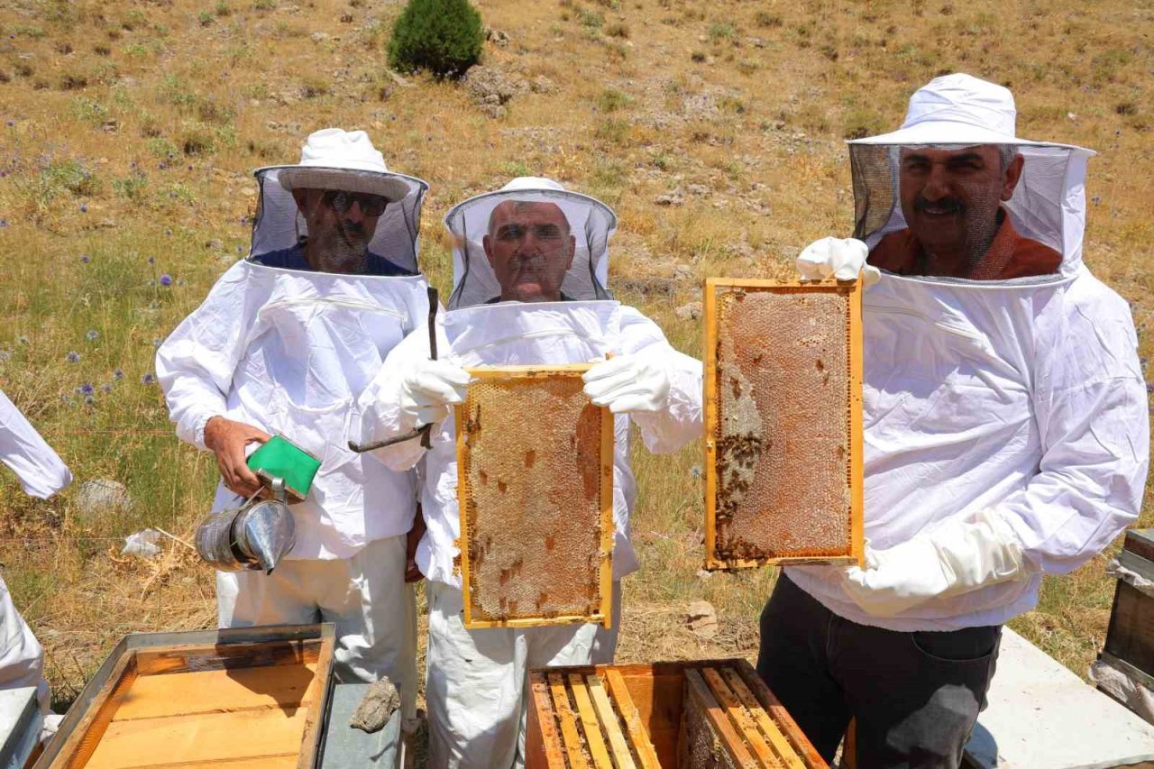 Kahramanmaraş’ın Onikişubat ilçesinde zengin florası ve temiz havasıyla bilinen Engizek