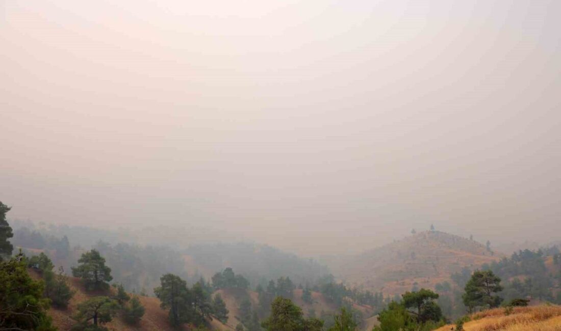 Kahramanmaraş’ta çıkan orman yangınına ekiplerin müdahalesi yaklaşık 20 saattir sürerken,
