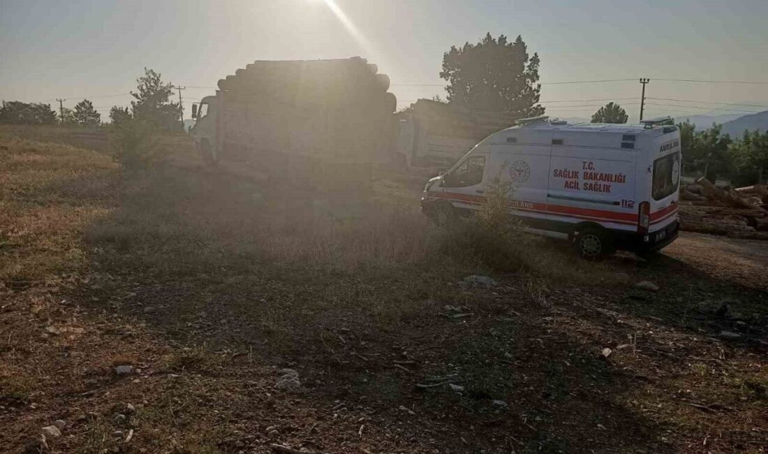 Denizli’de, kamyonuna yüklü olan tomrukların indirilmesi sırasında kamyonun kasasından kayan