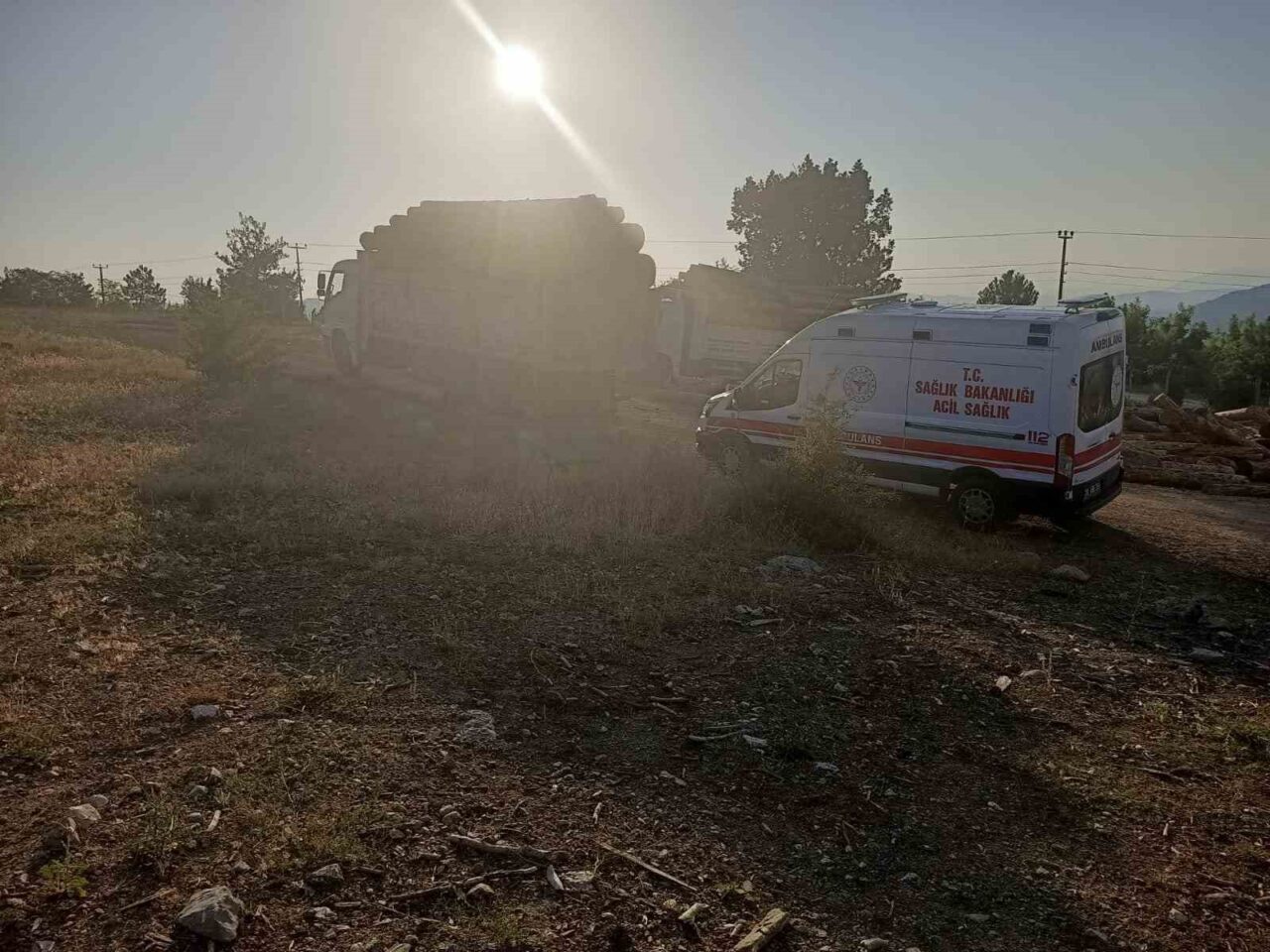 Denizli’de, kamyonuna yüklü olan tomrukların indirilmesi sırasında kamyonun kasasından kayan