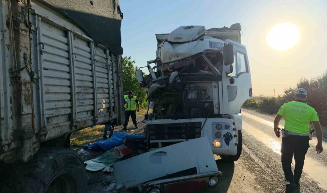 İzmir’in Tire ilçesinde kamyonundaki arızayı kontrol etmek için aracından inen