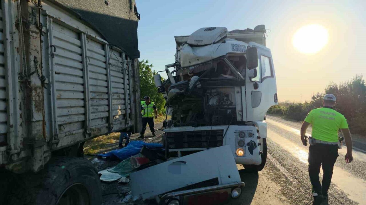İzmir’in Tire ilçesinde kamyonundaki arızayı kontrol etmek için aracından inen
