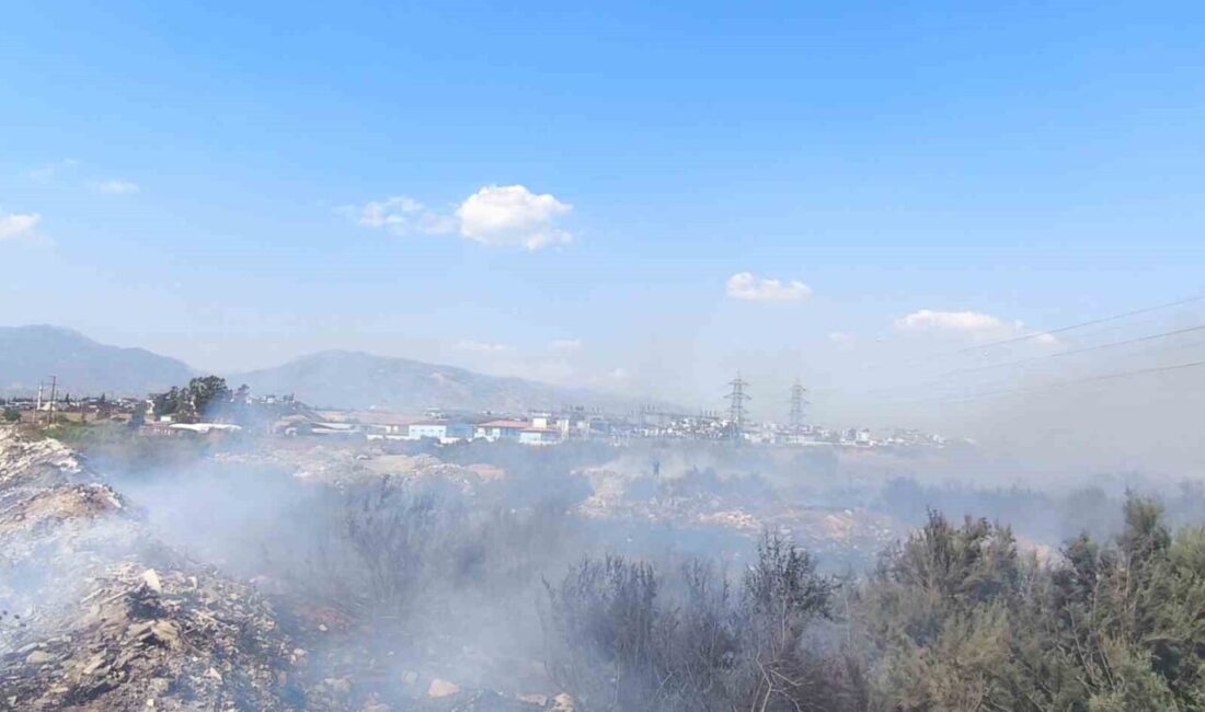 Aydın’ın Efeler ilçesinde kanal kenarındaki arazide çıkan ve rüzgarla geniş