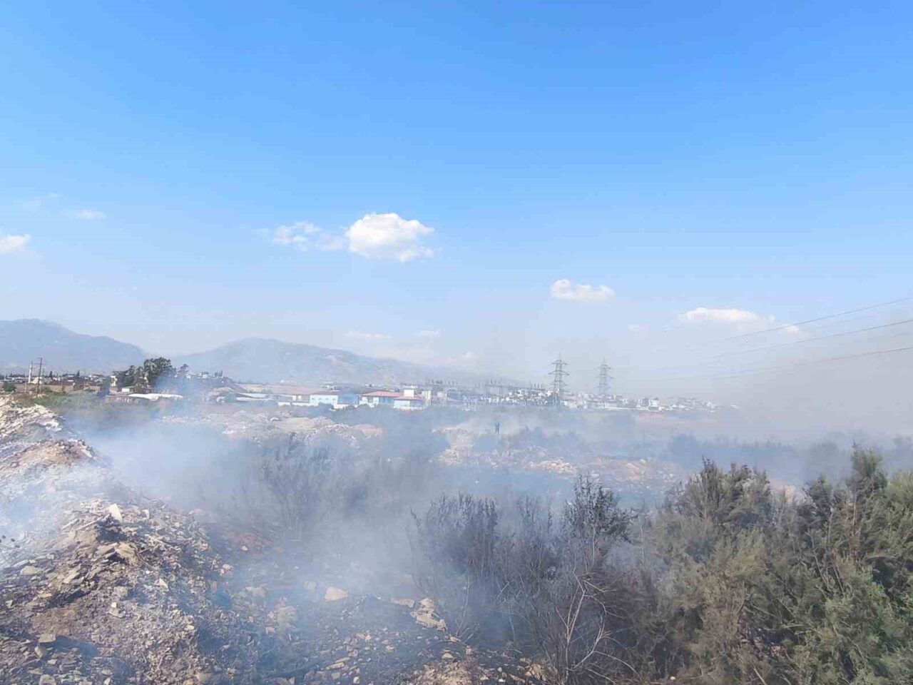Aydın’ın Efeler ilçesinde kanal kenarındaki arazide çıkan ve rüzgarla geniş
