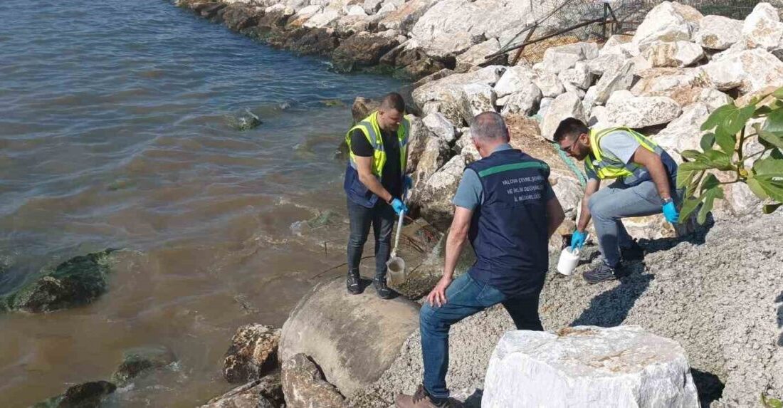 Çevre, Şehircilik ve İklim Değişikliği Bakanlığı, yağmur suyu hattından denize