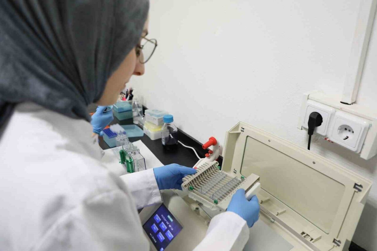 Bartın Üniversitesinin (BARÜ) TÜBİTAK tarafından desteklenen projesiyle kereviz tohumunun farklı