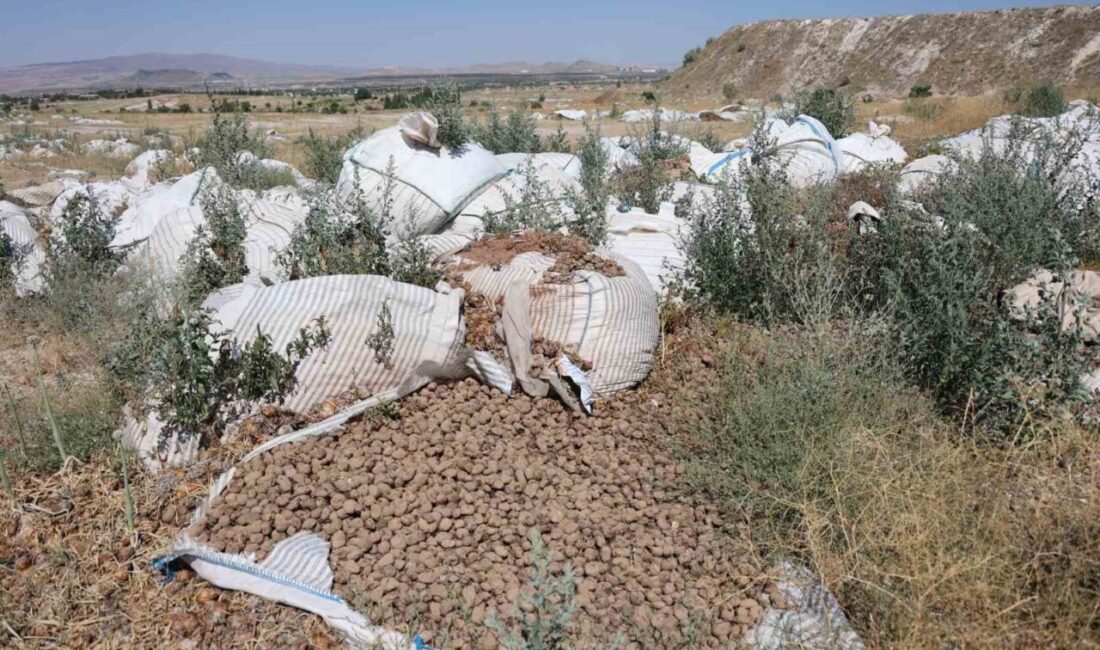 Nevşehir Valiliği’nin yaptığı uyarıları dikkate almayan patates depo işletmecileri; Kapadokya