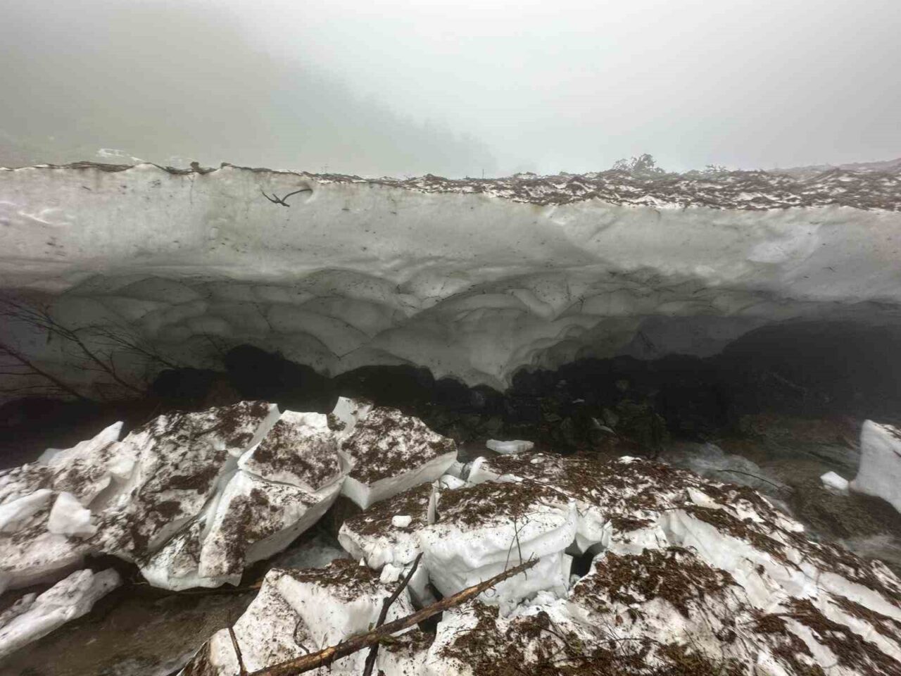 Rize’nin Çamlıhemşin ilçesine bağlı Galer Düzü Yaylası’nda fotoğraf çekilmek isterken