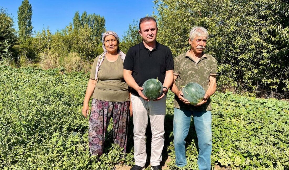 Muğla’nın Menteşe ilçesi Karabağlar Yaylası’nda, Muğla İl Tarım ve Orman