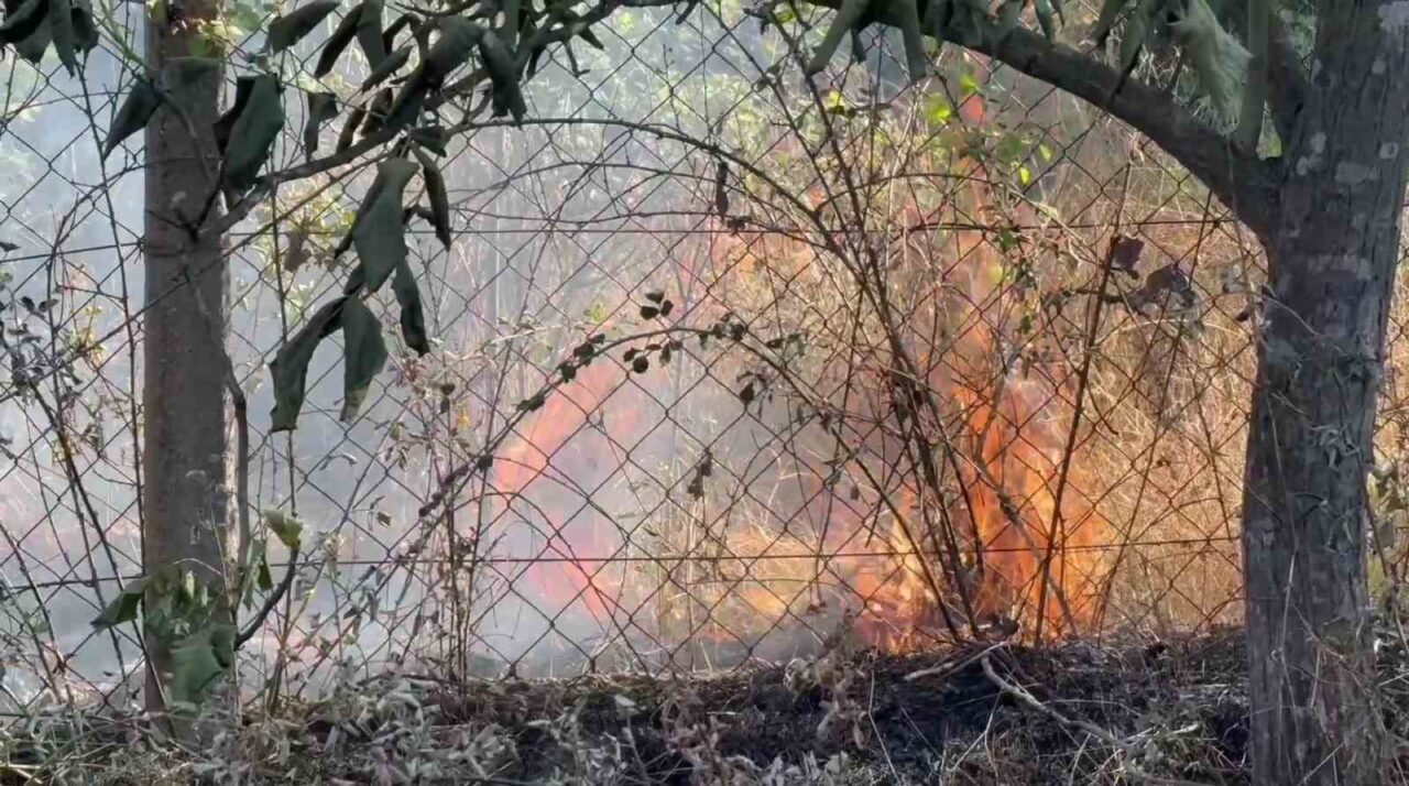 Karabük’te çıkan anız yangınında yaklaşık 25 dönüm alan zarar gördü.