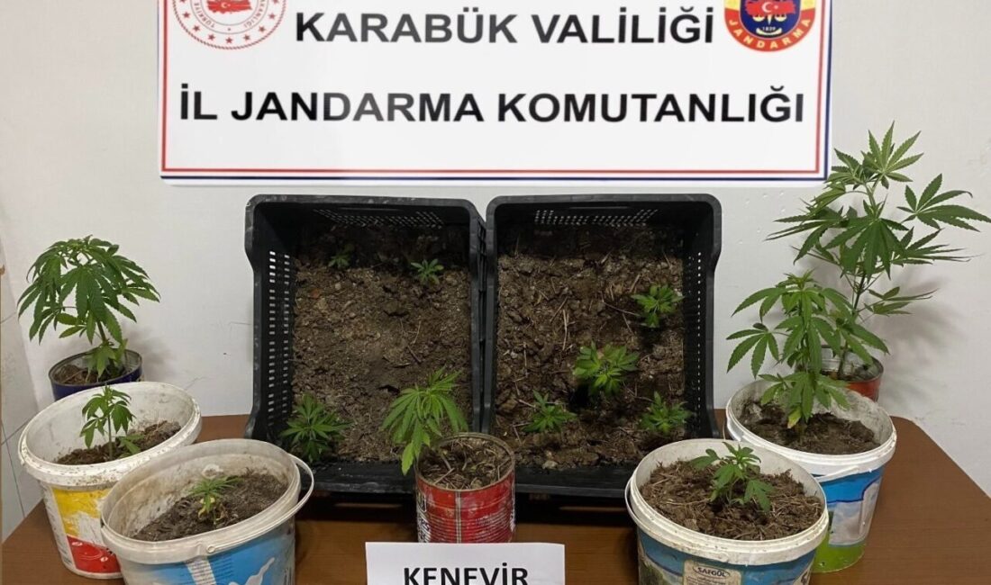 Karabük’ün Eflani ve Safranbolu ilçelerinde jandarma ekiplerince düzenlenen operasyonda 14