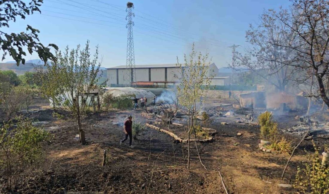 Karabük merkeze bağlı Cemaller köyünde çıkan ot yangınında bazı evler