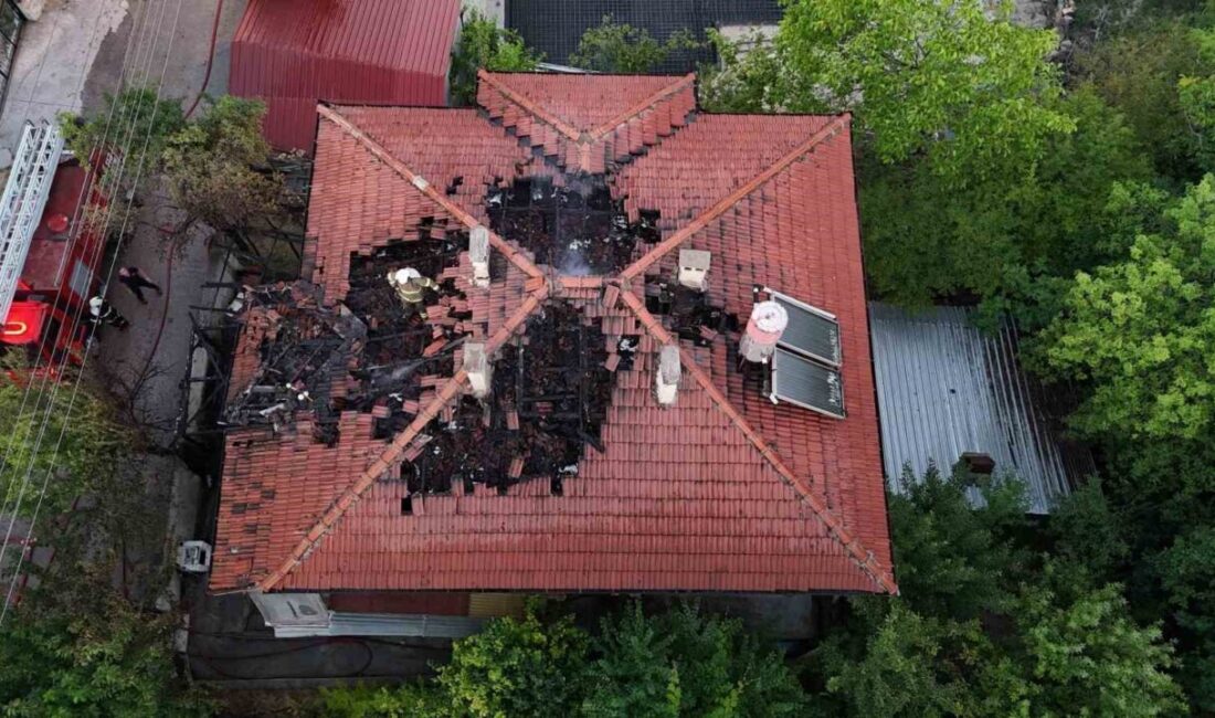 Karabük’ün Safranbolu ilçesinde kamelyada çıkan ve iki katlı eve sıçrayan