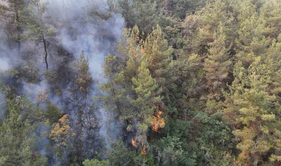Karabük’te günlerdir etkili olan orman yangınını kontrol altına alma çalışmaları