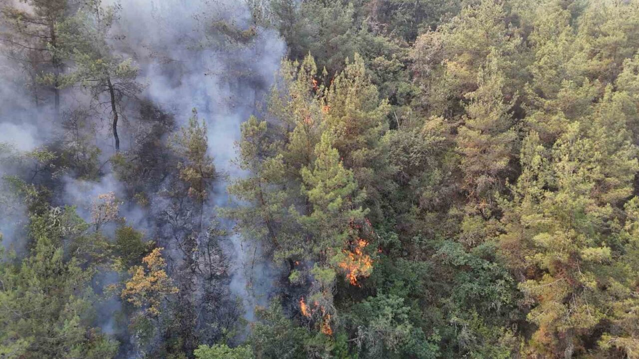 Karabük’te günlerdir etkili olan orman yangınını kontrol altına alma çalışmaları