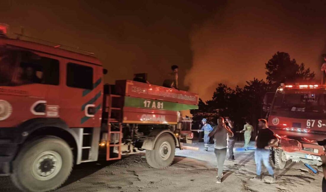 Karabük merkeze bağlı Kahyalar köyünde ormanlık alanda çıkan yangın, rüzgarın