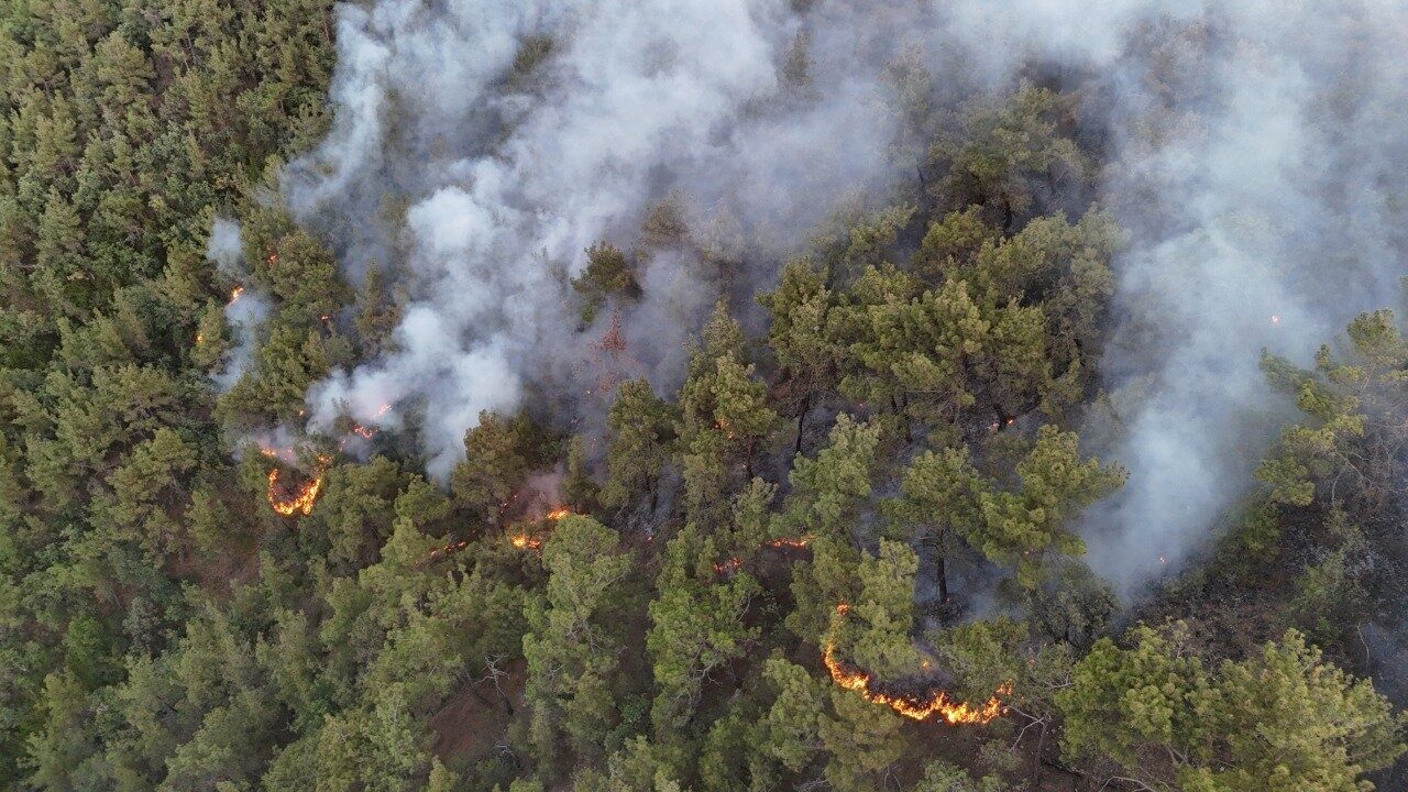 Karabük’te ormanlık alanda çıkan yangına ekiplerin müdahalesi 6 saattir aralıksız