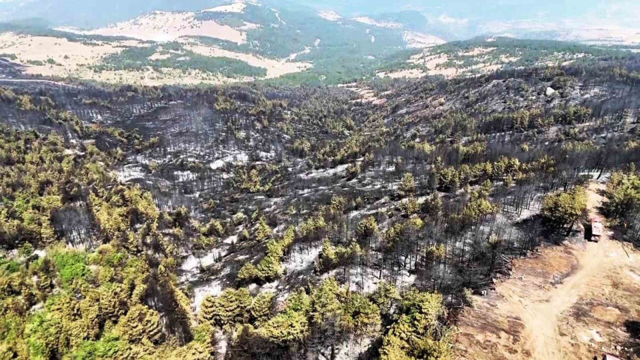Karabük’te 12 saatte kontrol altına alınan orman yangınının ardından, yeşil