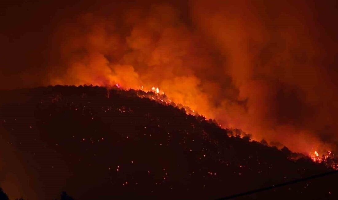 Bilecik’te devam eden Yenişehir ve İnegöl  bölgelerine devam eden  yangın