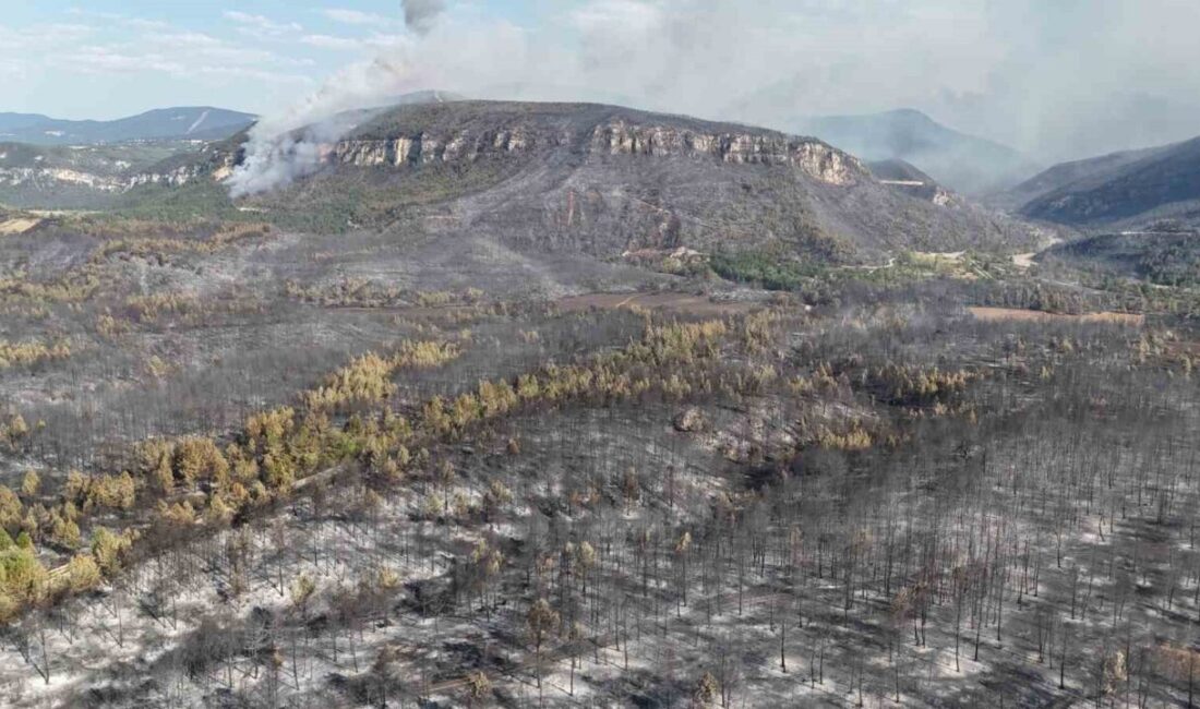 Karabük’ün Safranbolu ilçesine bağlı Çavuşlar köyünde başlayan ve geniş bir