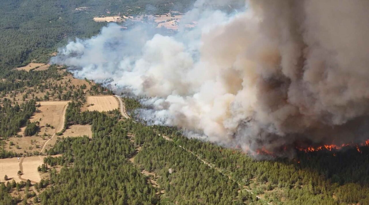 Karabük’ün Safranbolu ilçesine bağlı Çavuşlar köyünde çıkan orman yangını rüzgarın