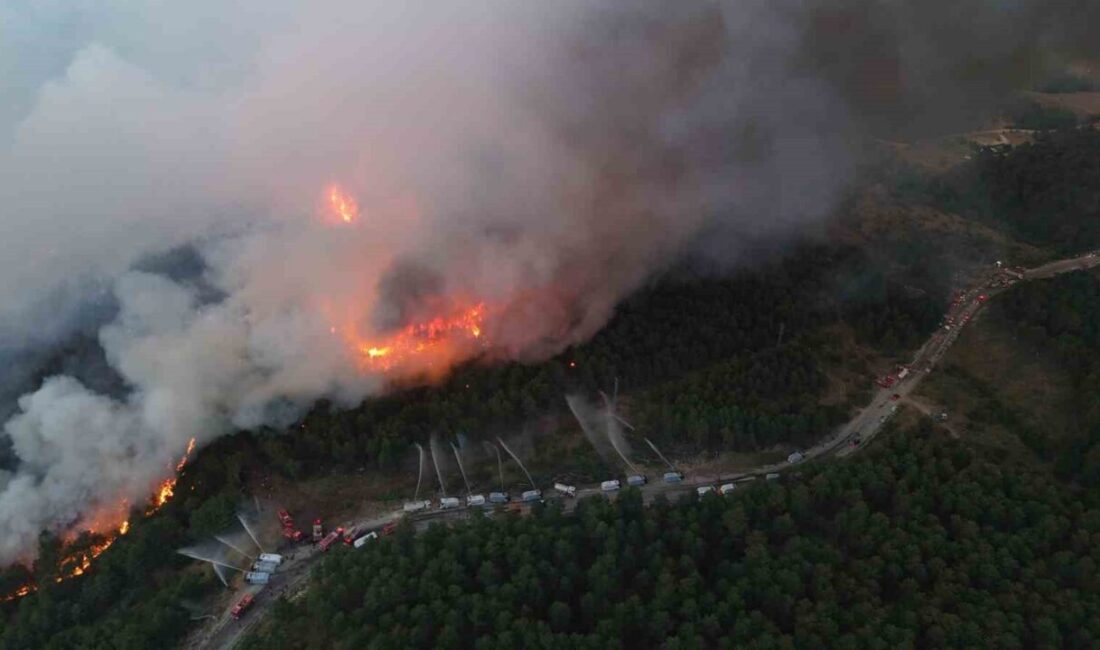 Karabük merkeze bağlı Kahyalar köyü yakınlarında da orman yangını çıktı.