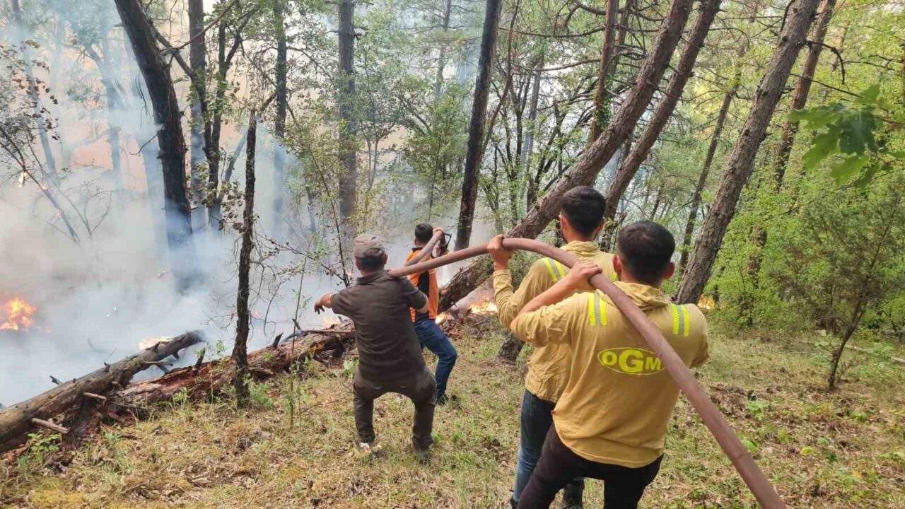 Karabük’ün Merkez ilçesine bağlı Burunsuz köyünde çıkan orman yangınına 205