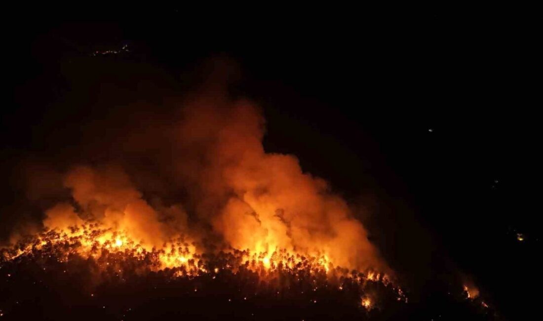 Karabük’te geniş bir alanda etkili olmaya devam eden orman yangını