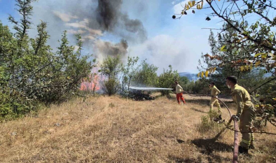 Karabük’teki orman yangınlarının kontrol altına alınması için ekiplerin cansiparane mücadalesi