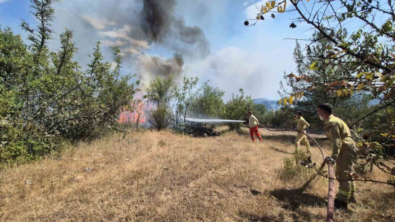 Karabük’teki orman yangınlarının kontrol altına alınması için ekiplerin cansiparane mücadalesi