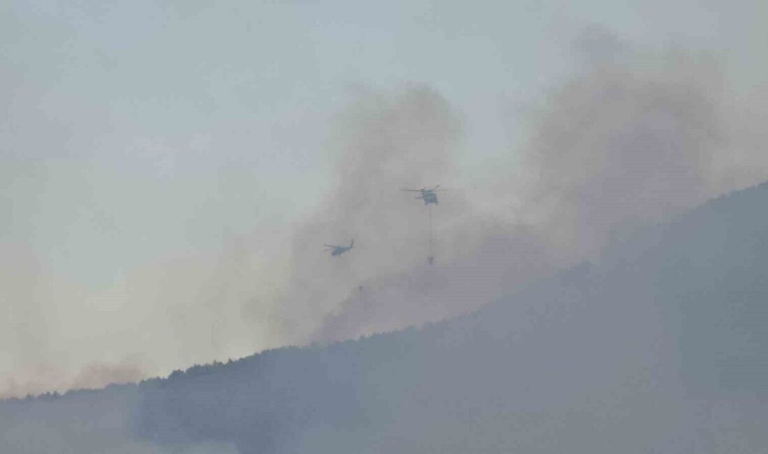 Karabük’te 4 gündür devam eden orman yangını rüzgarın etkisiyle hızla