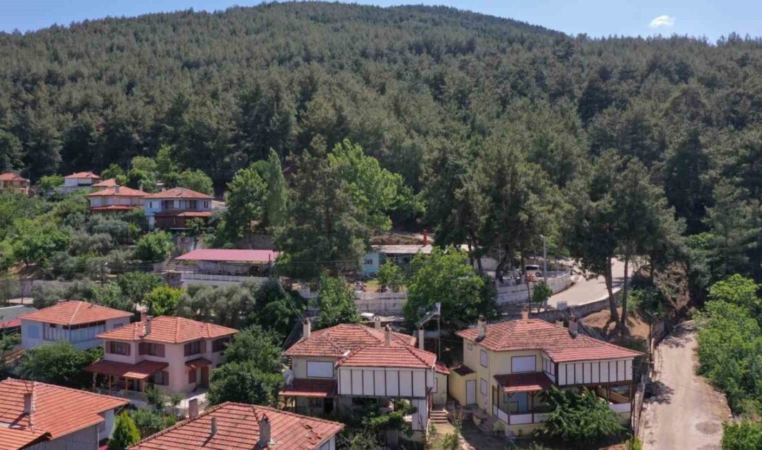 Aydın’ın Karacasu ilçesinde, mevsim normallerinin üzerinde seyreden hava sıcaklıkları nedeniyle