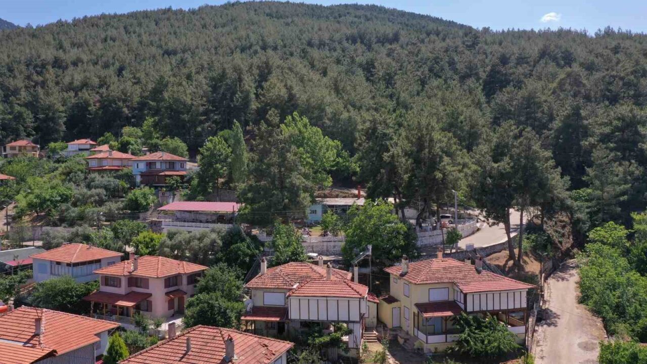 Aydın’ın Karacasu ilçesinde, mevsim normallerinin üzerinde seyreden hava sıcaklıkları nedeniyle