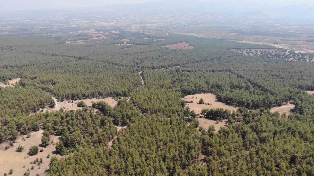 Yangın riskine karşı Aydın genelinde uygulanan orman yasağını hatırlatan Karacasu