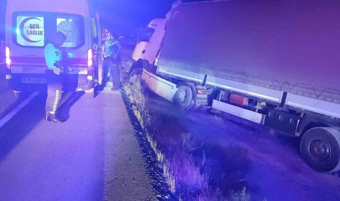Konya’nın Karapınar ilçesinde şarampole düşüp yön tabelasına çarpan tır sürücüsü